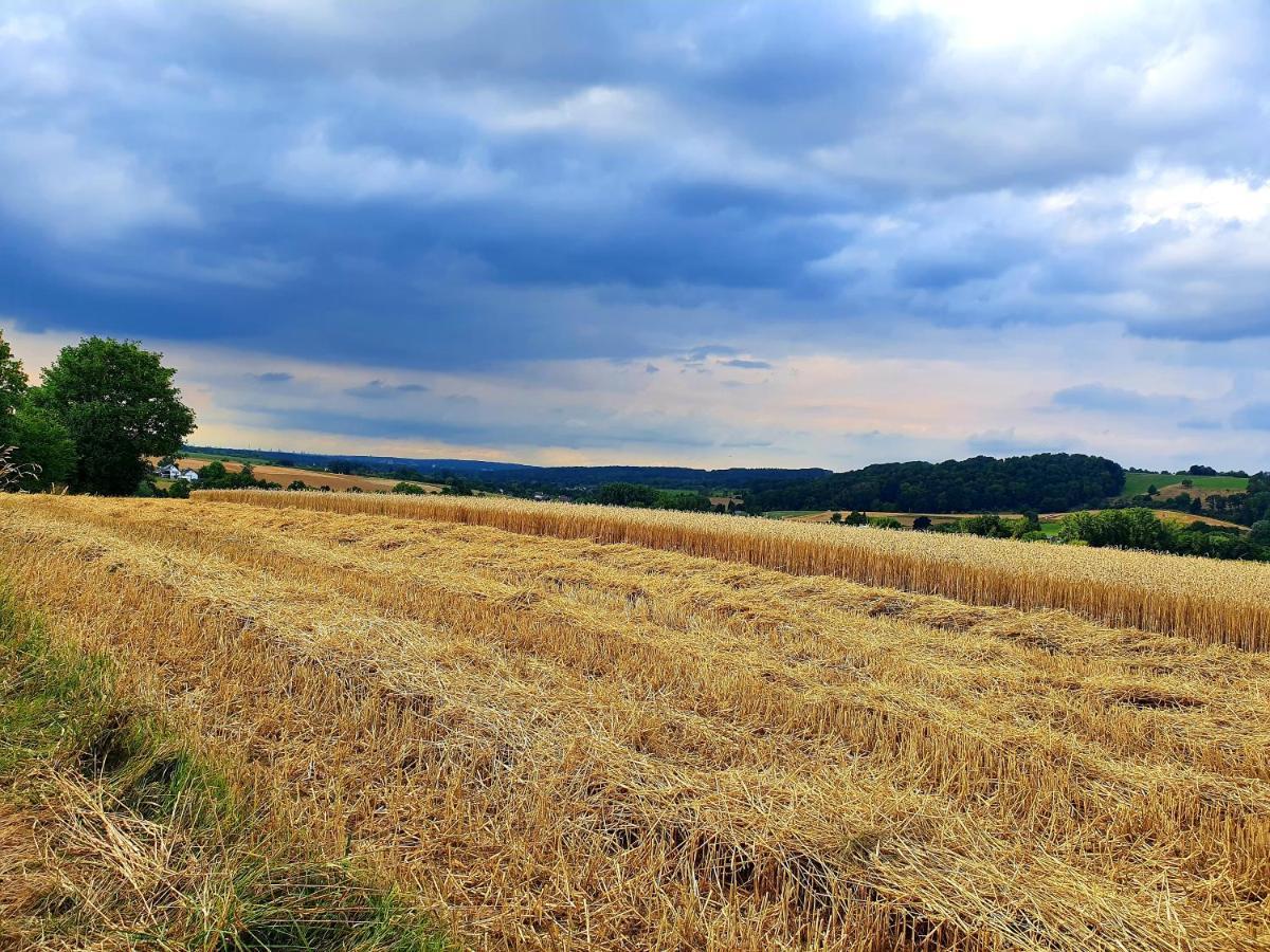 Ferienwohnung Im Siebengebirge Naehe Koeln/Bonn Königswinter Zewnętrze zdjęcie