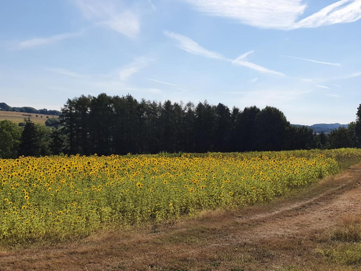 Ferienwohnung Im Siebengebirge Naehe Koeln/Bonn Königswinter Zewnętrze zdjęcie